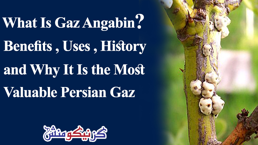 Gaz Angabin